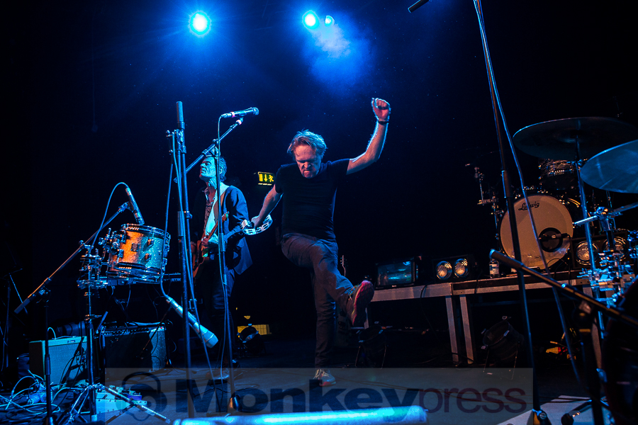 Dear Wolf, © Michael Gamon