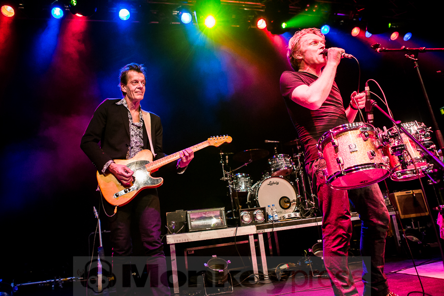 Dear Wolf, © Michael Gamon