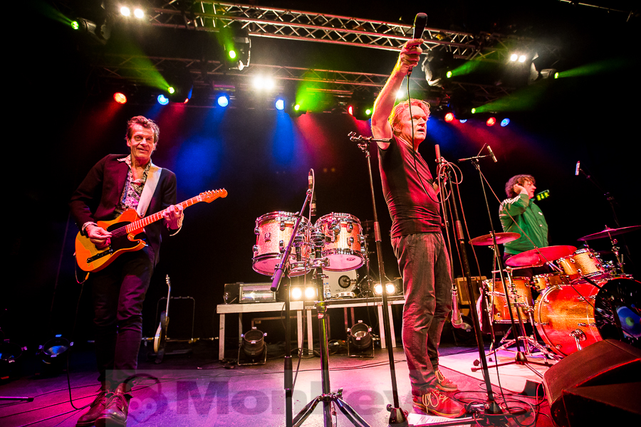 Dear Wolf, © Michael Gamon