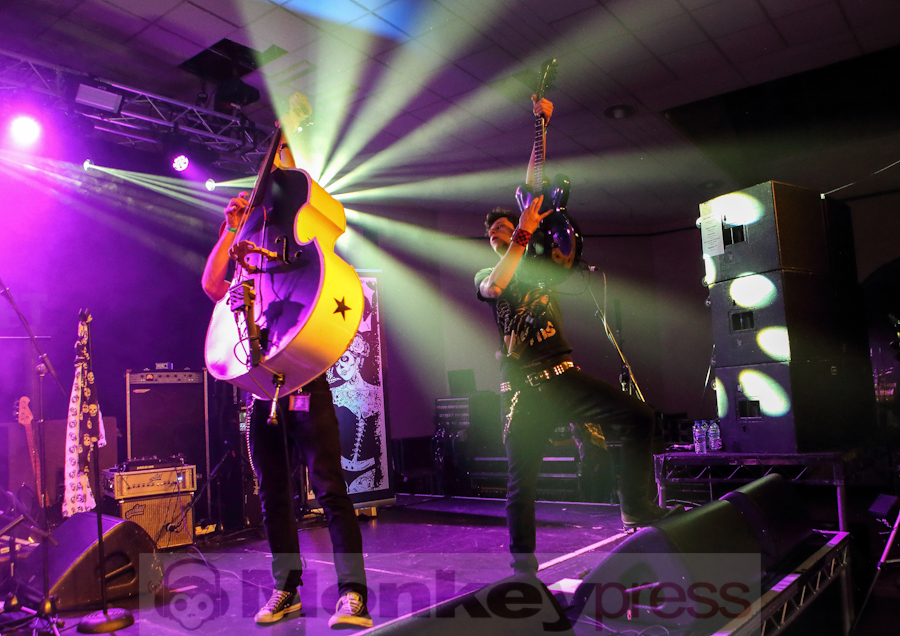 Kitty In A Casket, © Roger op den Camp