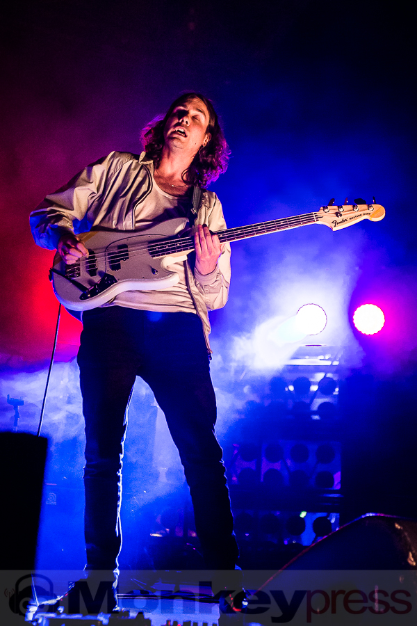 Fews, © Michael Gamon