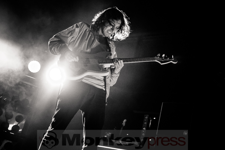 Fews, © Michael Gamon