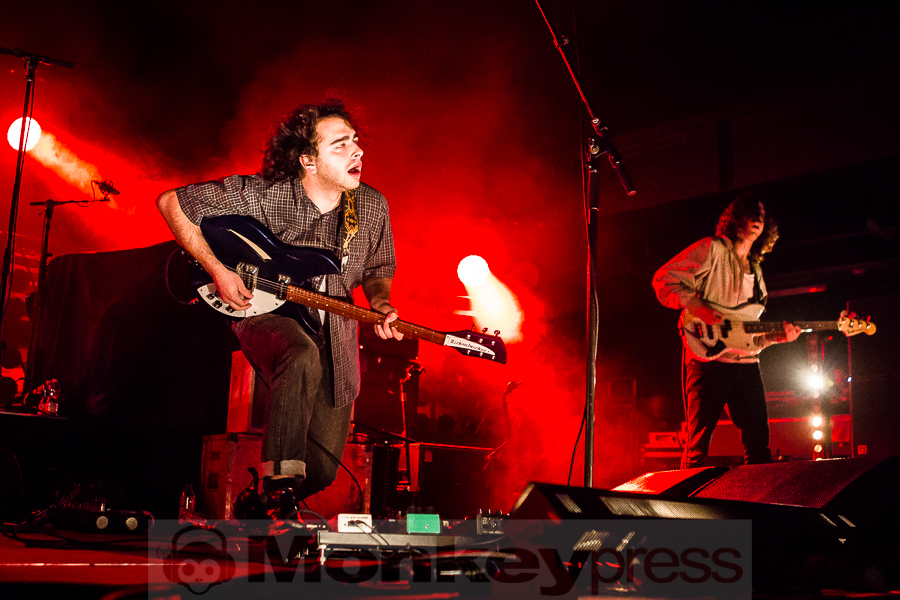 Fews, © Michael Gamon