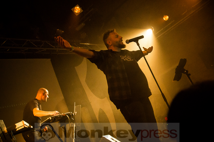 Neuroticfish, © Miriam Neiken