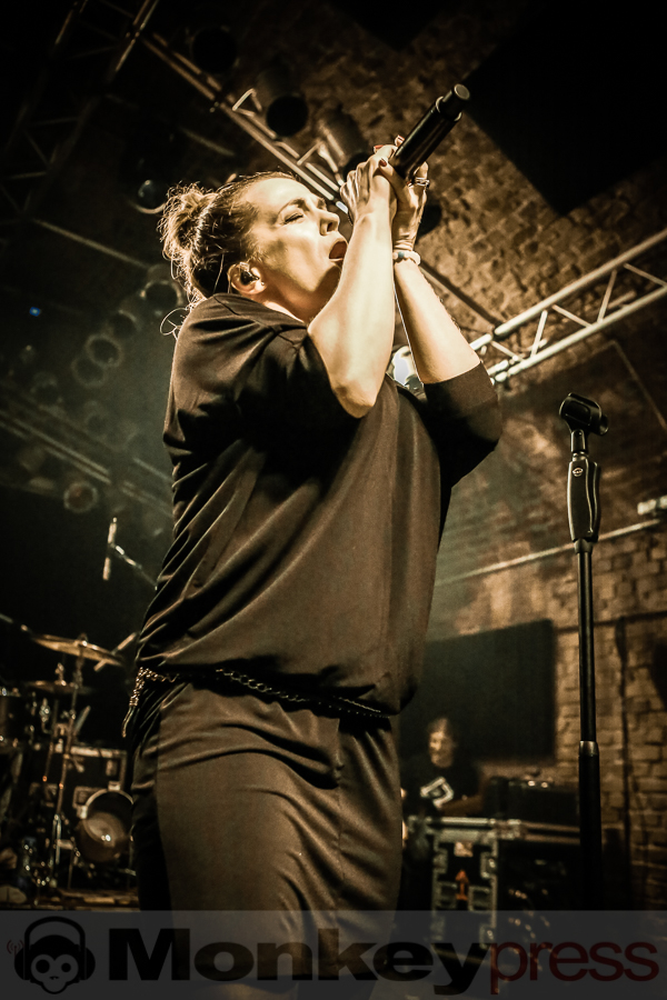 Die Happy, (c) Frank Halfmeier