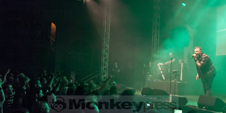 Neuroticfish, © Dietmar Grabs