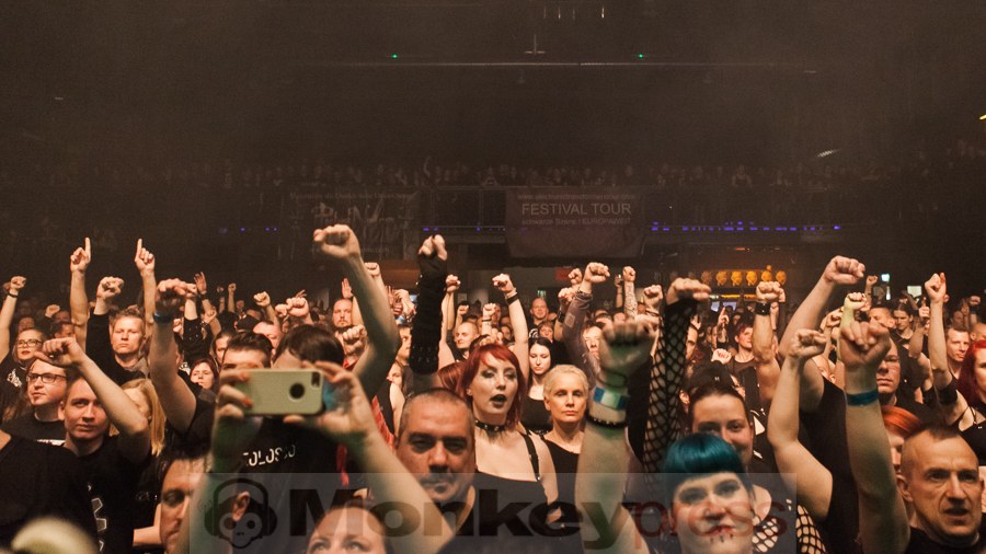 X-RX, © Dietmar Grabs