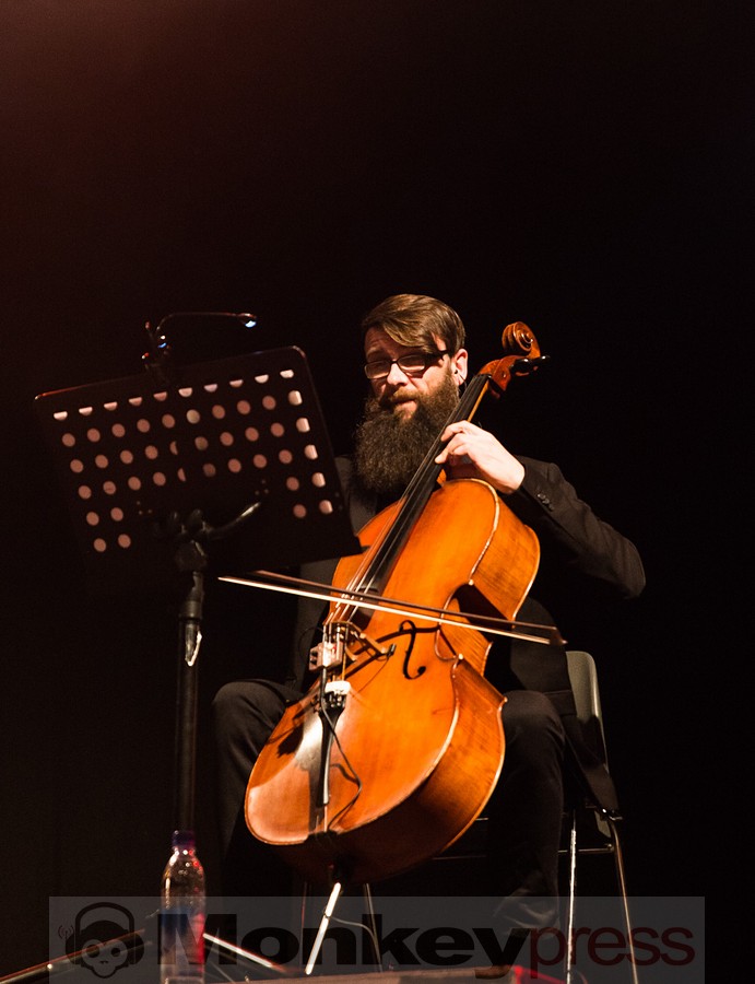 Solar Fake, © Sabine Thiele