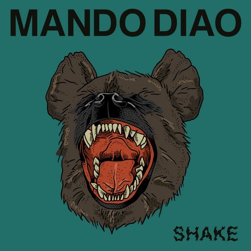 Neues Video: MANDO DIAO - Shake