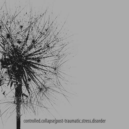 CONTROLLED COLLAPSE - Post-traumatic stress disorder CONTROLLED COLLAPSE - Post-traumatic stress disorder