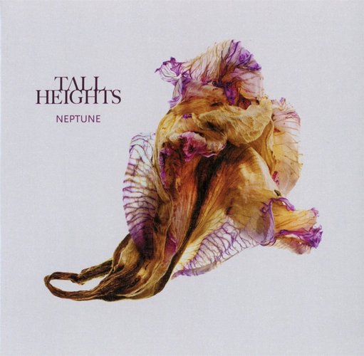 TALL HEIGHTS - Neptune