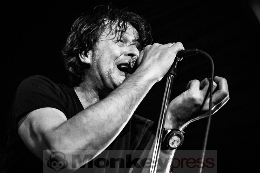 Dead Guitars, © Michael Gamon