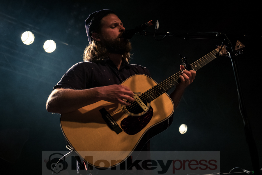 Mighty Oaks © Angela Trabert