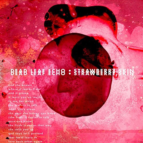 DEAD LEAF ECHO - neue Single, ein Re-Release und eine aktuelle Tour