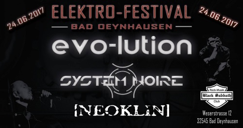 EVO-LUTION live beim Elektro-Festival 2017