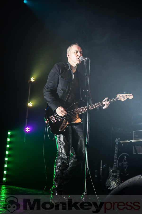 Cassandra Complex, © Michael Gamon