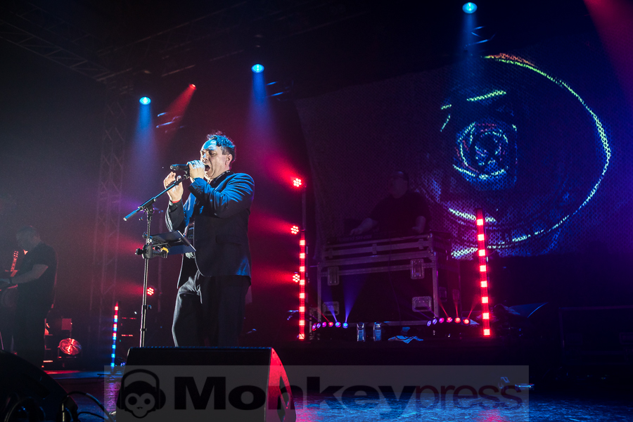 Cassandra Complex, © Michael Gamon