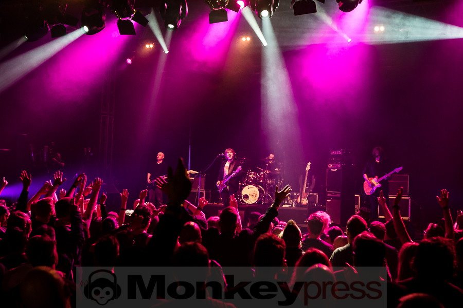 Chameleons Vox, © Michael Gamon