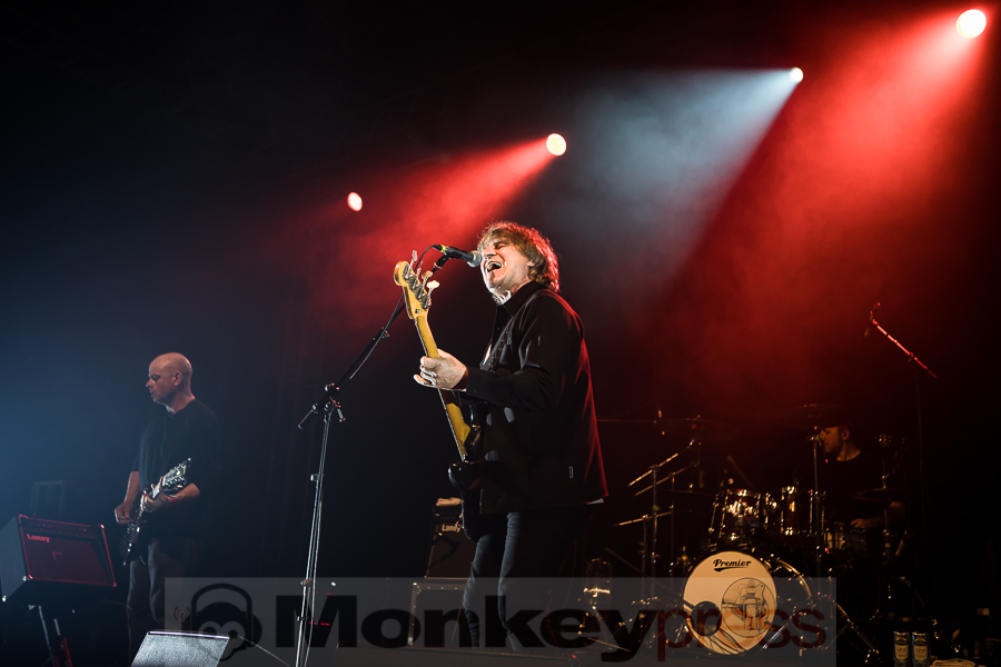 Chameleons Vox, © Michael Gamon