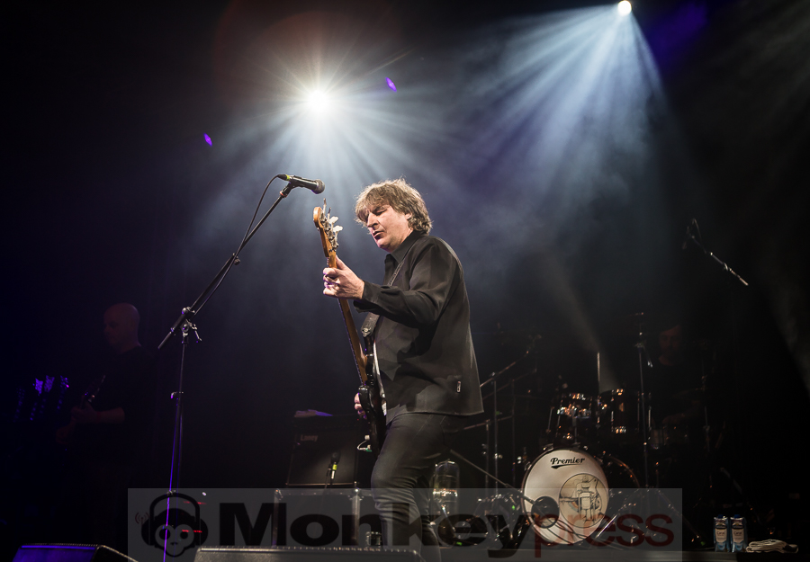 Chameleons Vox, © Michael Gamon