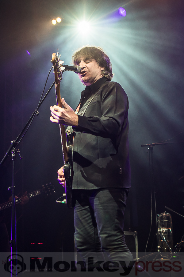 Chameleons Vox, © Michael Gamon