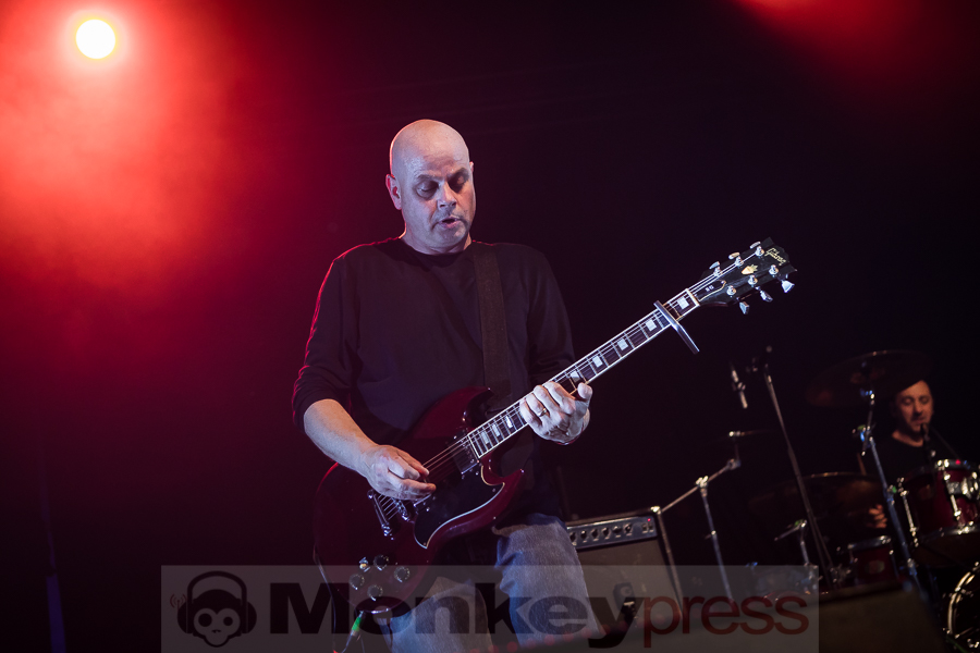 Chameleons Vox, © Michael Gamon