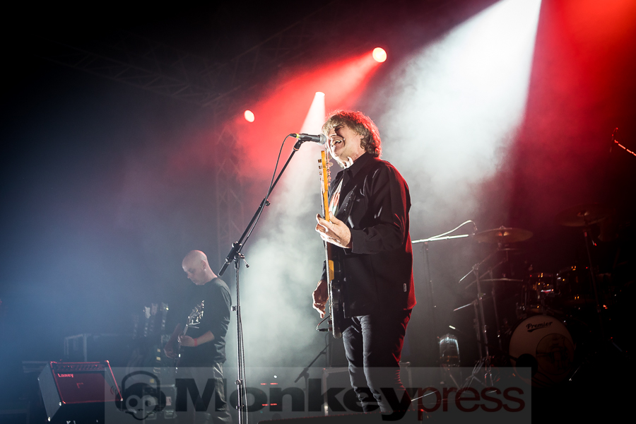 Chameleons Vox, © Michael Gamon