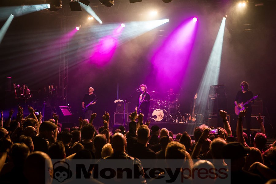 Chameleons Vox, © Michael Gamon