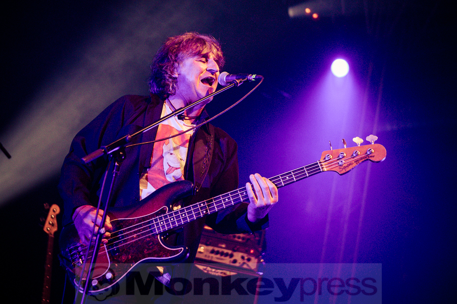 Chameleons Vox, © Michael Gamon