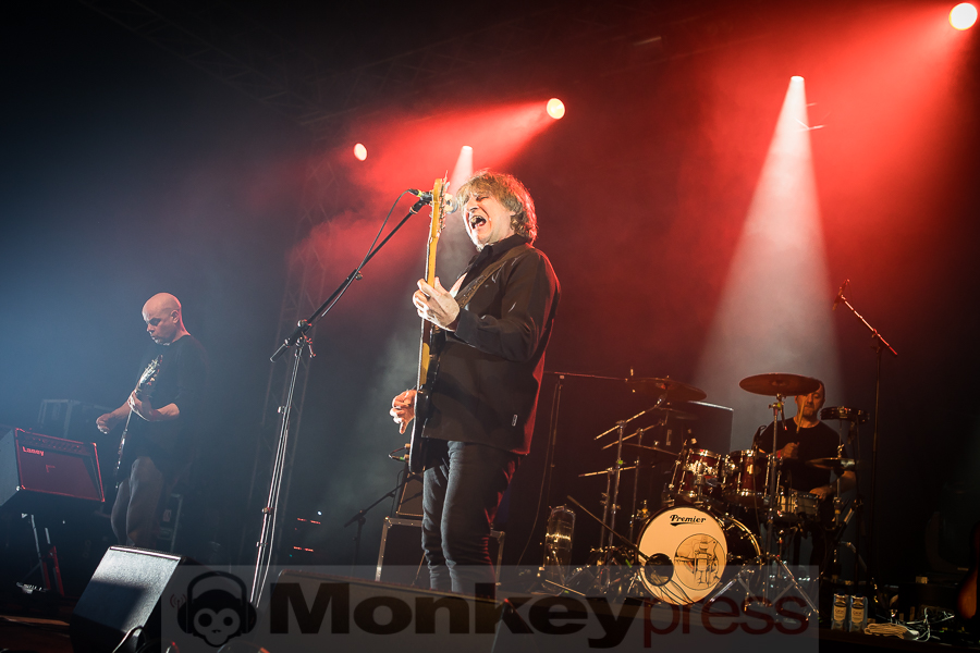 Chameleons Vox, © Michael Gamon