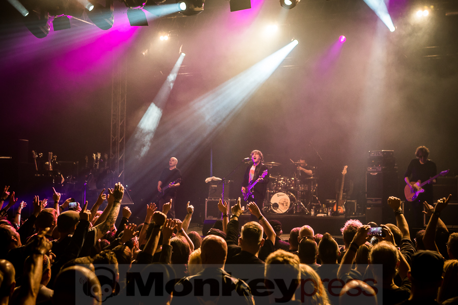 Chameleons Vox, © Michael Gamon