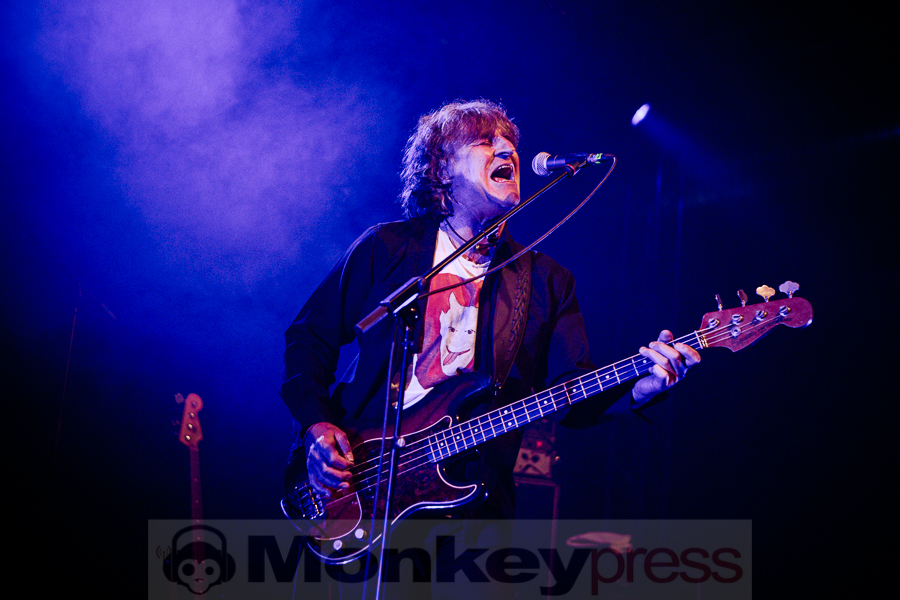 Chameleons Vox, © Michael Gamon