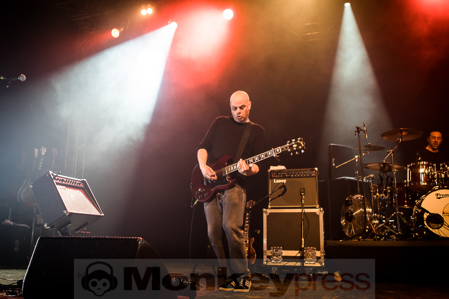 Chameleons Vox, © Michael Gamon