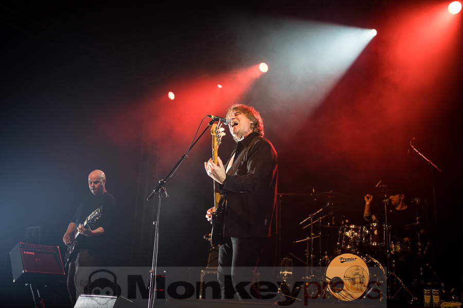 Chameleons Vox, © Michael Gamon