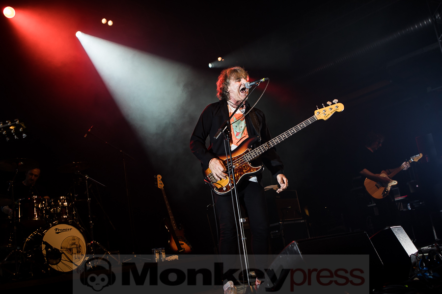 Chameleons Vox, © Michael Gamon