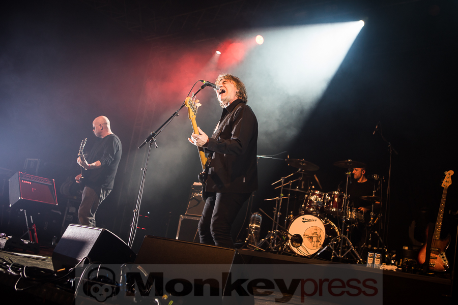 Chameleons Vox, © Michael Gamon