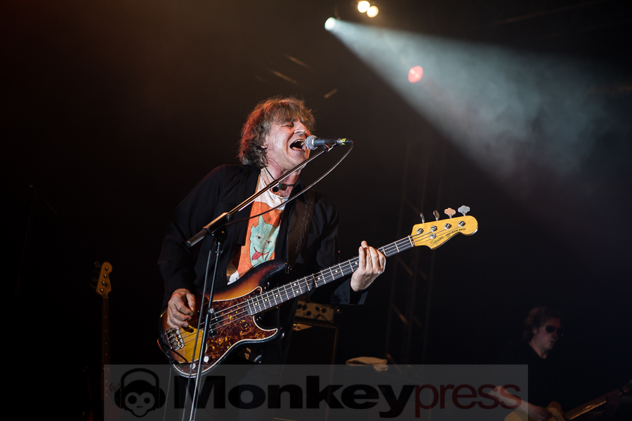 Chameleons Vox, © Michael Gamon