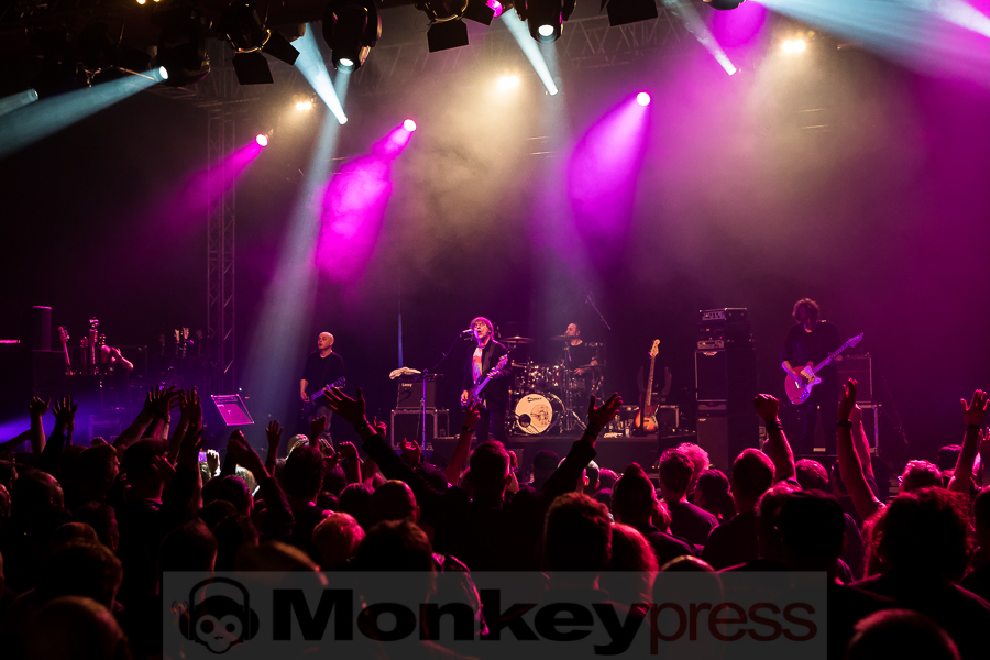 Chameleons Vox, © Michael Gamon