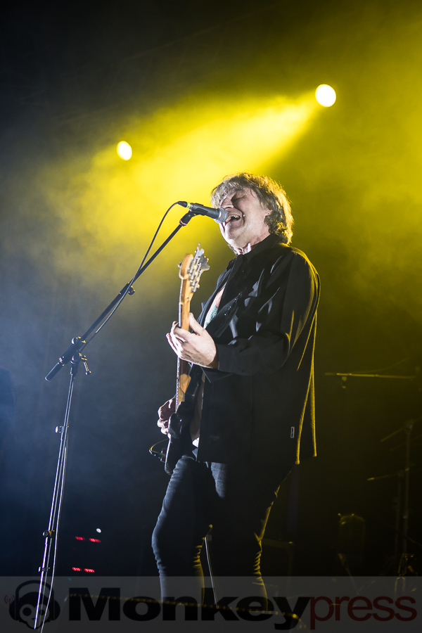 Chameleons Vox, © Michael Gamon