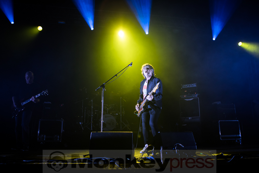 Chameleons Vox, © Michael Gamon