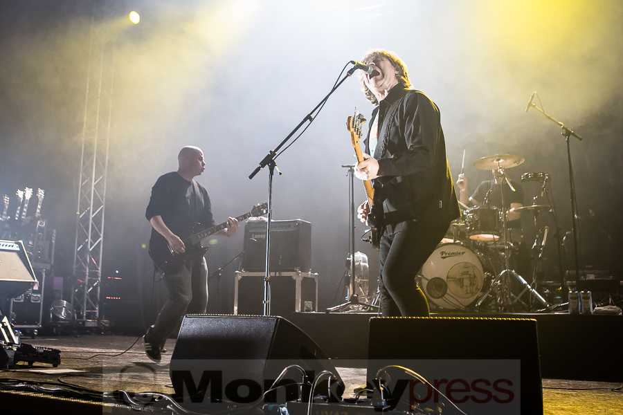 Chameleons Vox, © Michael Gamon