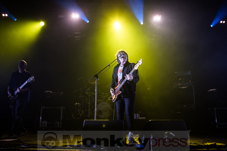 Chameleons Vox, © Michael Gamon