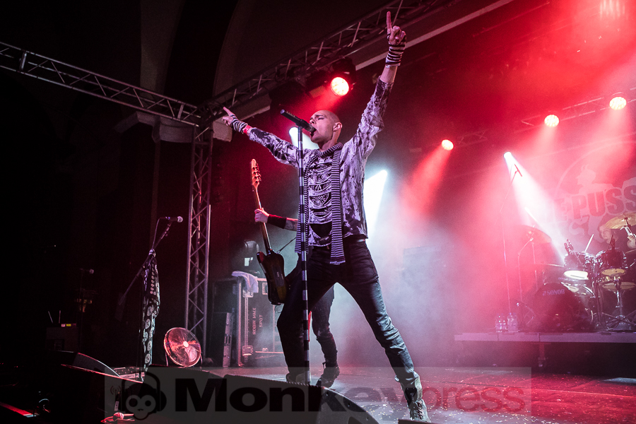 The Pussybats, © Michael Gamon The Pussybats, © Michael Gamon