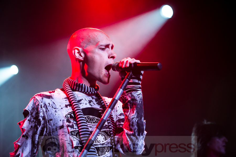 The Pussybats, © Michael Gamon The Pussybats, © Michael Gamon