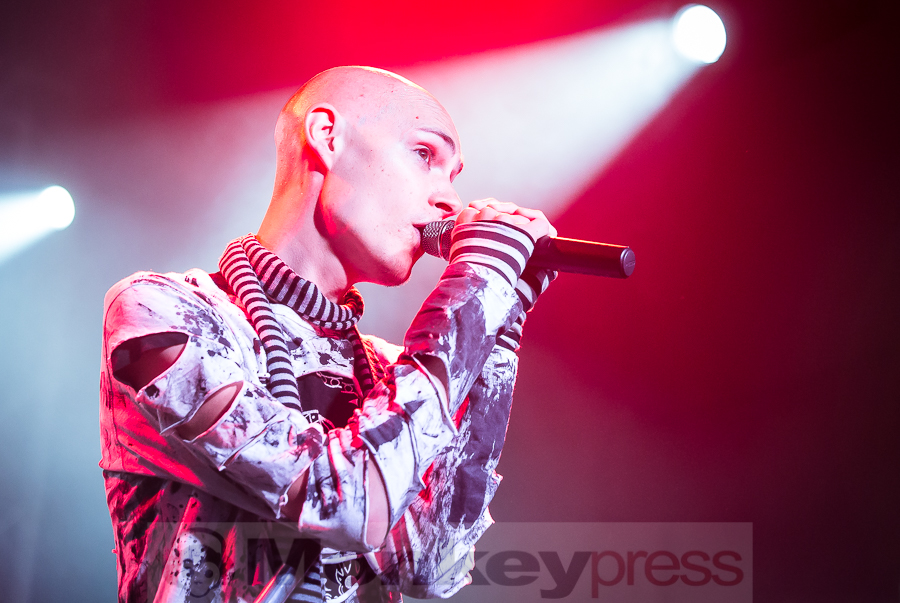 The Pussybats, © Michael Gamon The Pussybats, © Michael Gamon