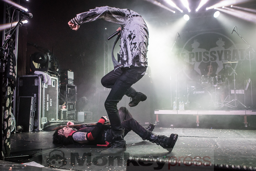 The Pussybats, © Michael Gamon The Pussybats, © Michael Gamon