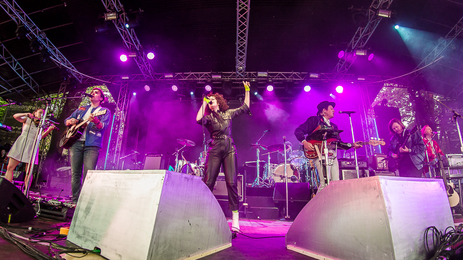 Arcade Fire, © Michael Gamon