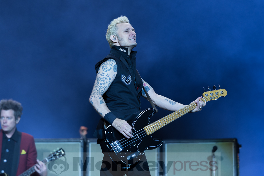 Green Day, © Tabea Debora Pringal