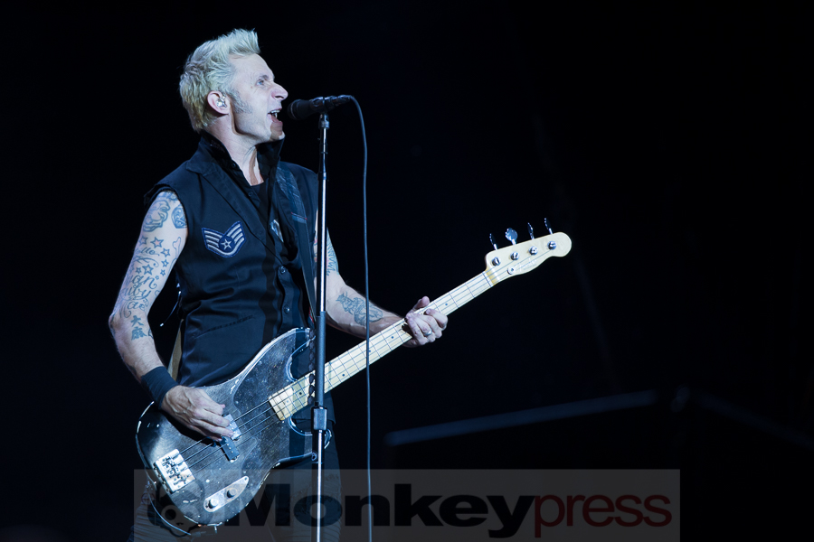 Green Day, © Tabea Debora Pringal