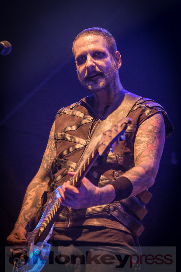 Tanzwut, © Danny Sotzny